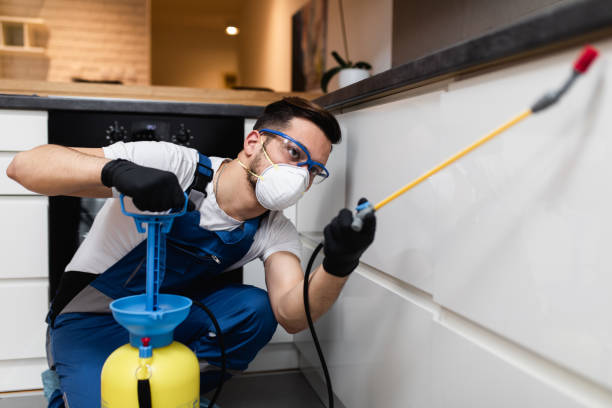 Trusted Dacula, GA Pest Control Experts