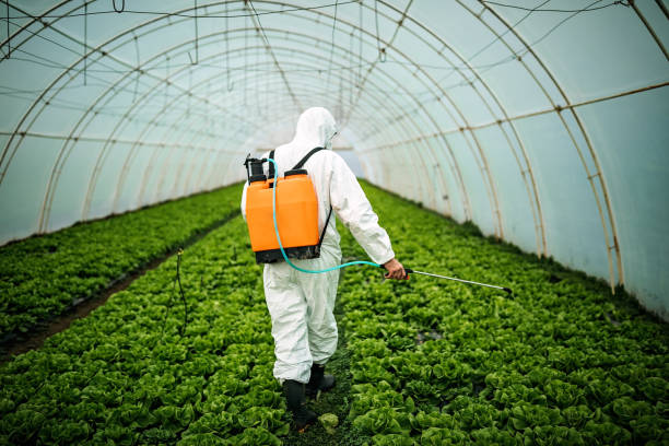 Best Pest Inspection Near Me  in Dacula, GA