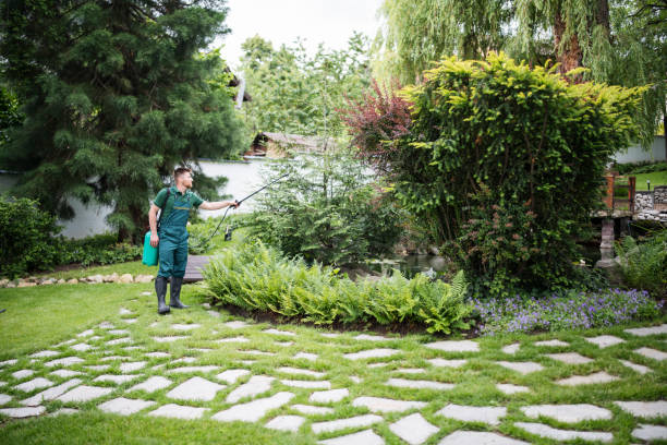 Best Pest Control Near Me in Dacula, GA