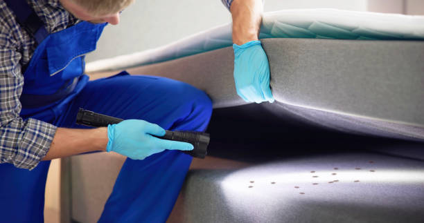 Best Pest Removal Services  in Dacula, GA