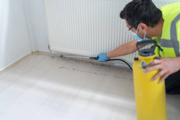 Best Rat Extermination Near Me  in Dacula, GA